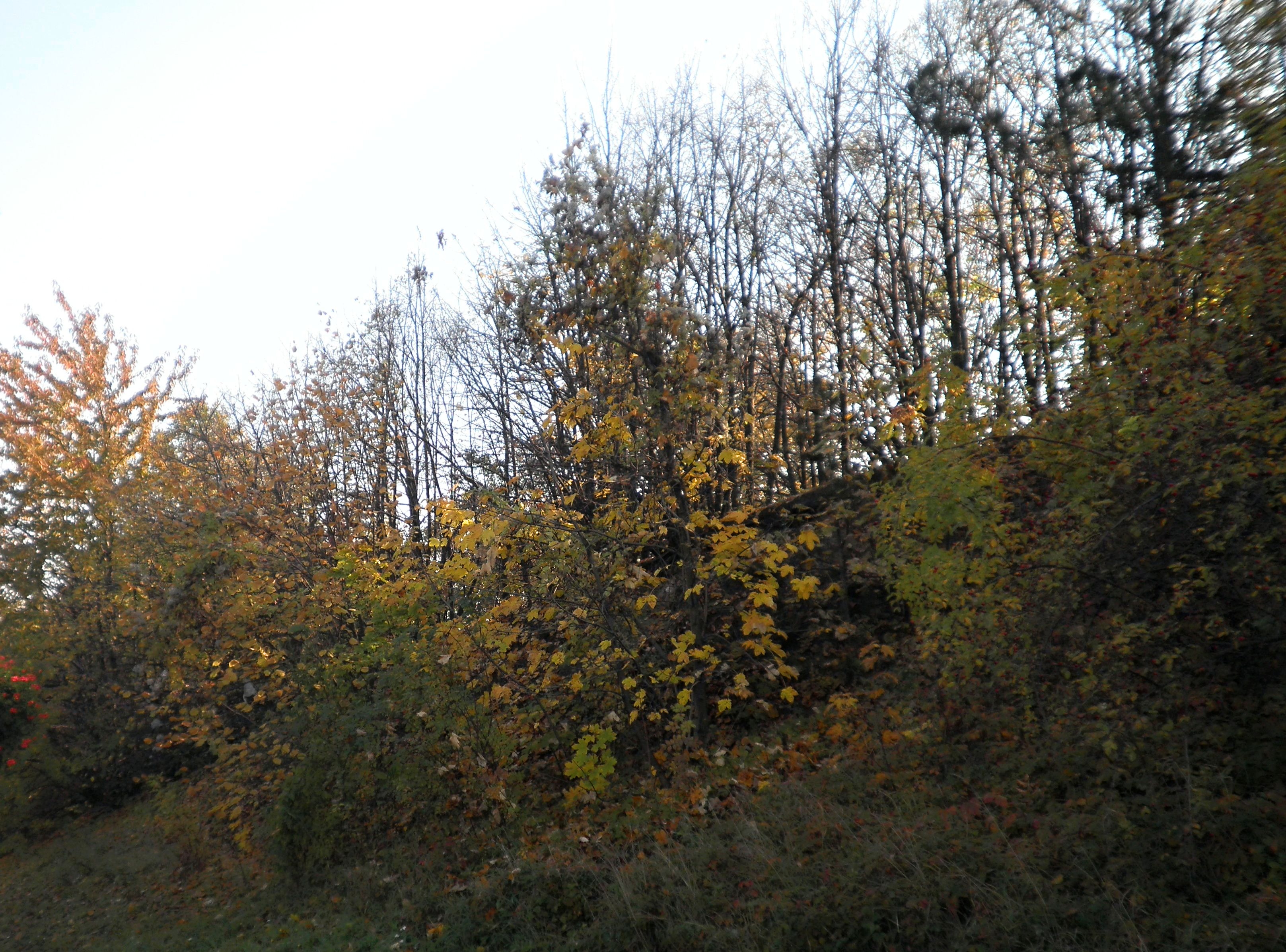 PB050034