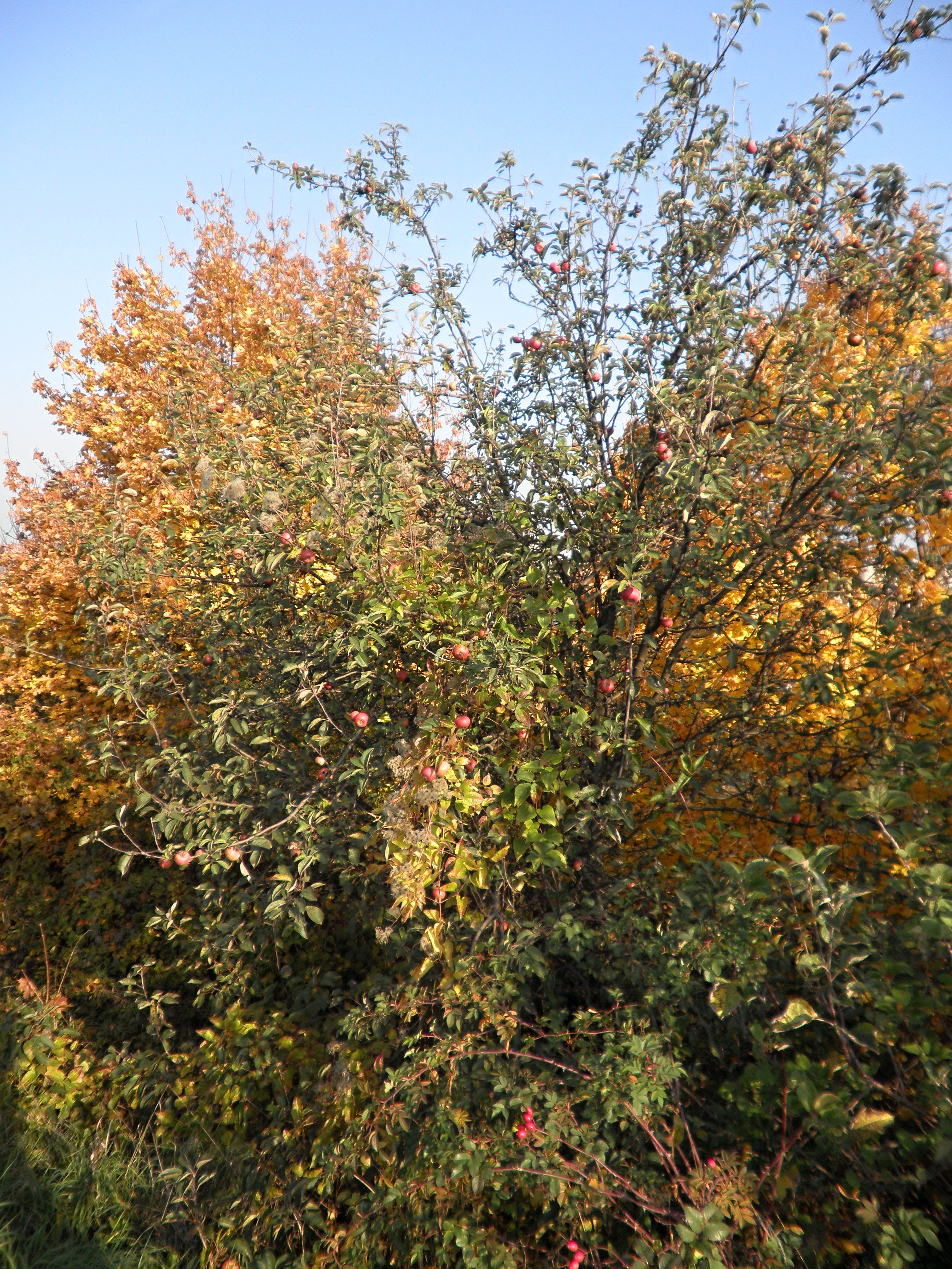 PB050067