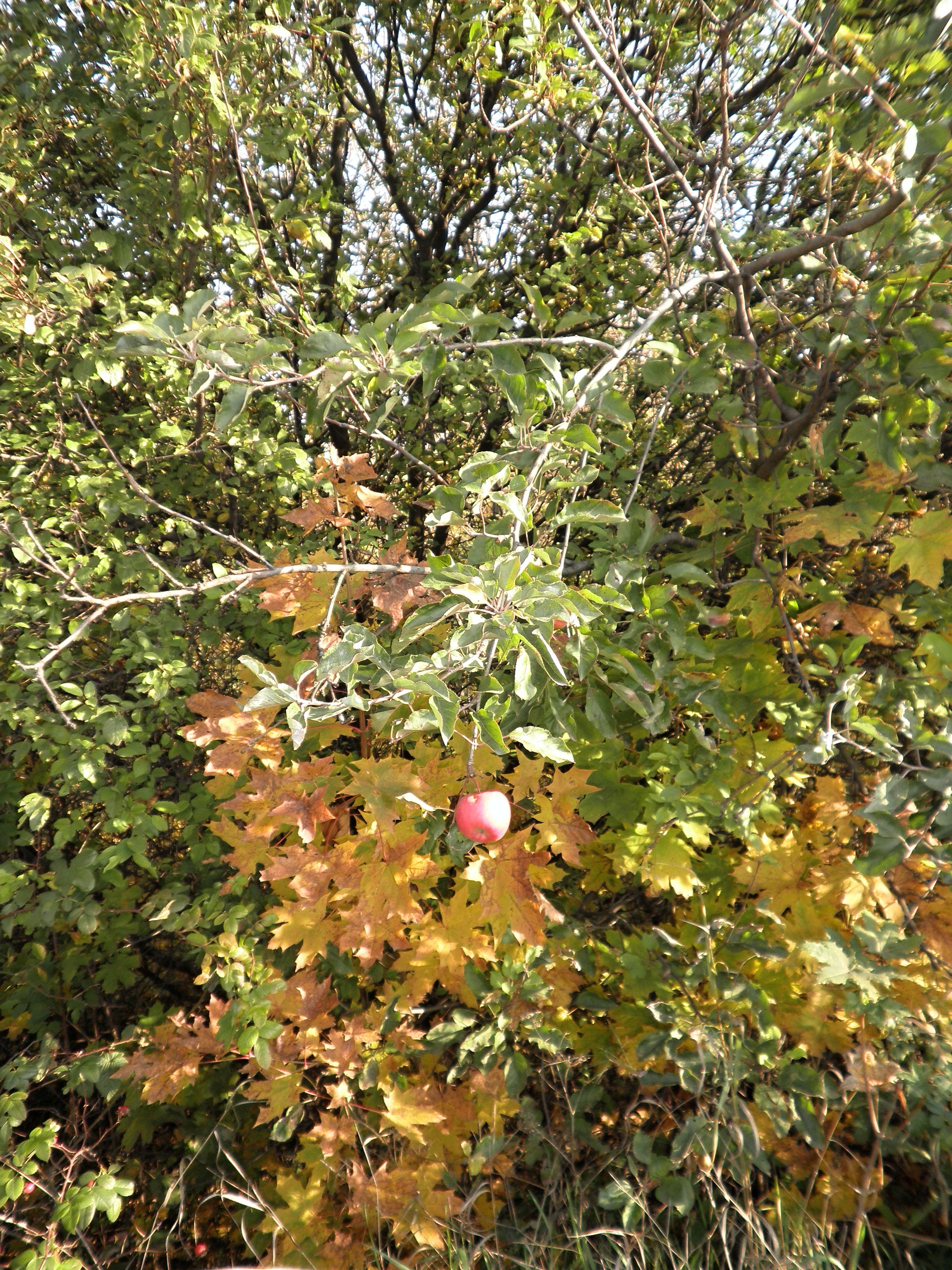 PB050077