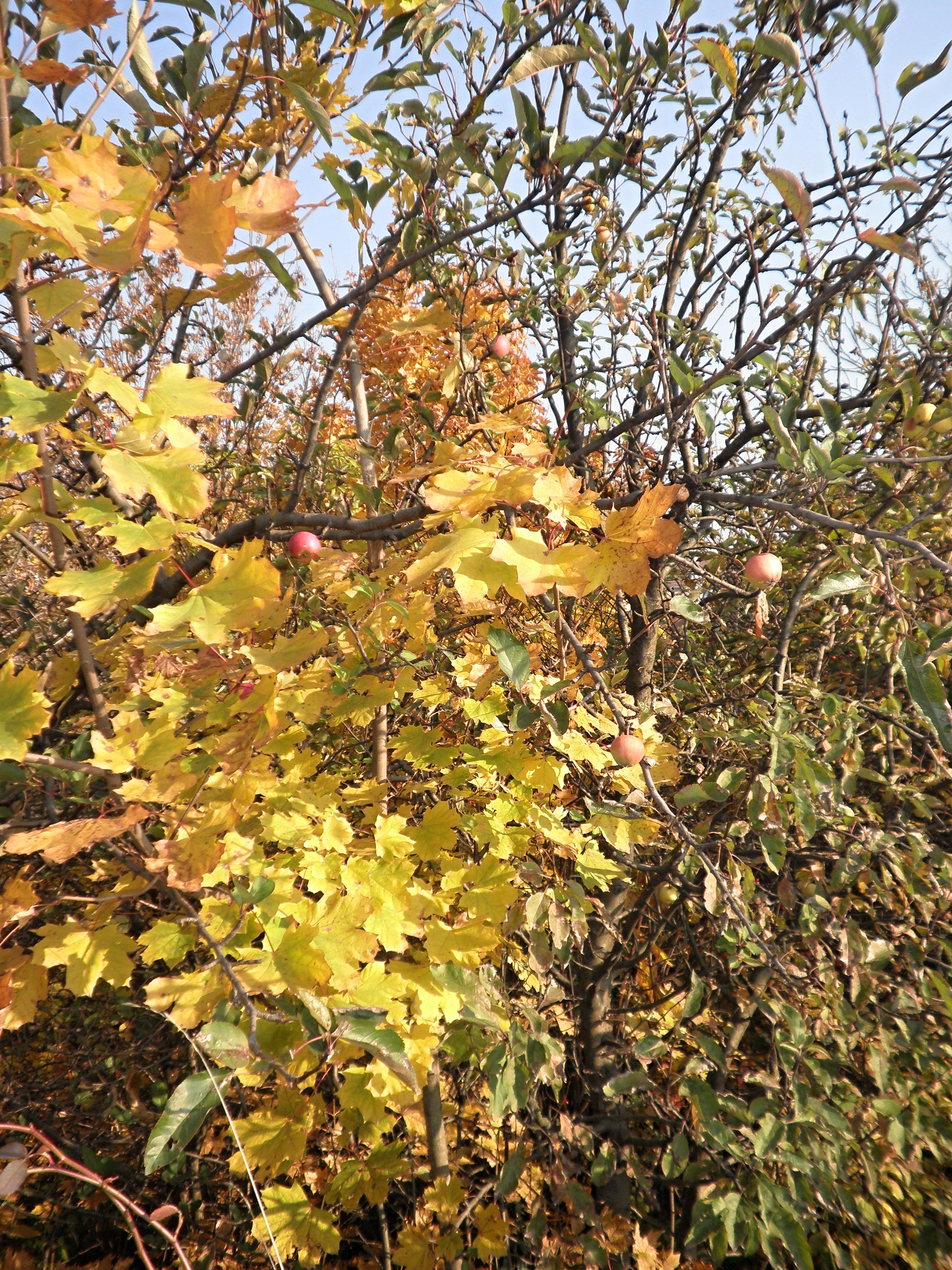 PB050078