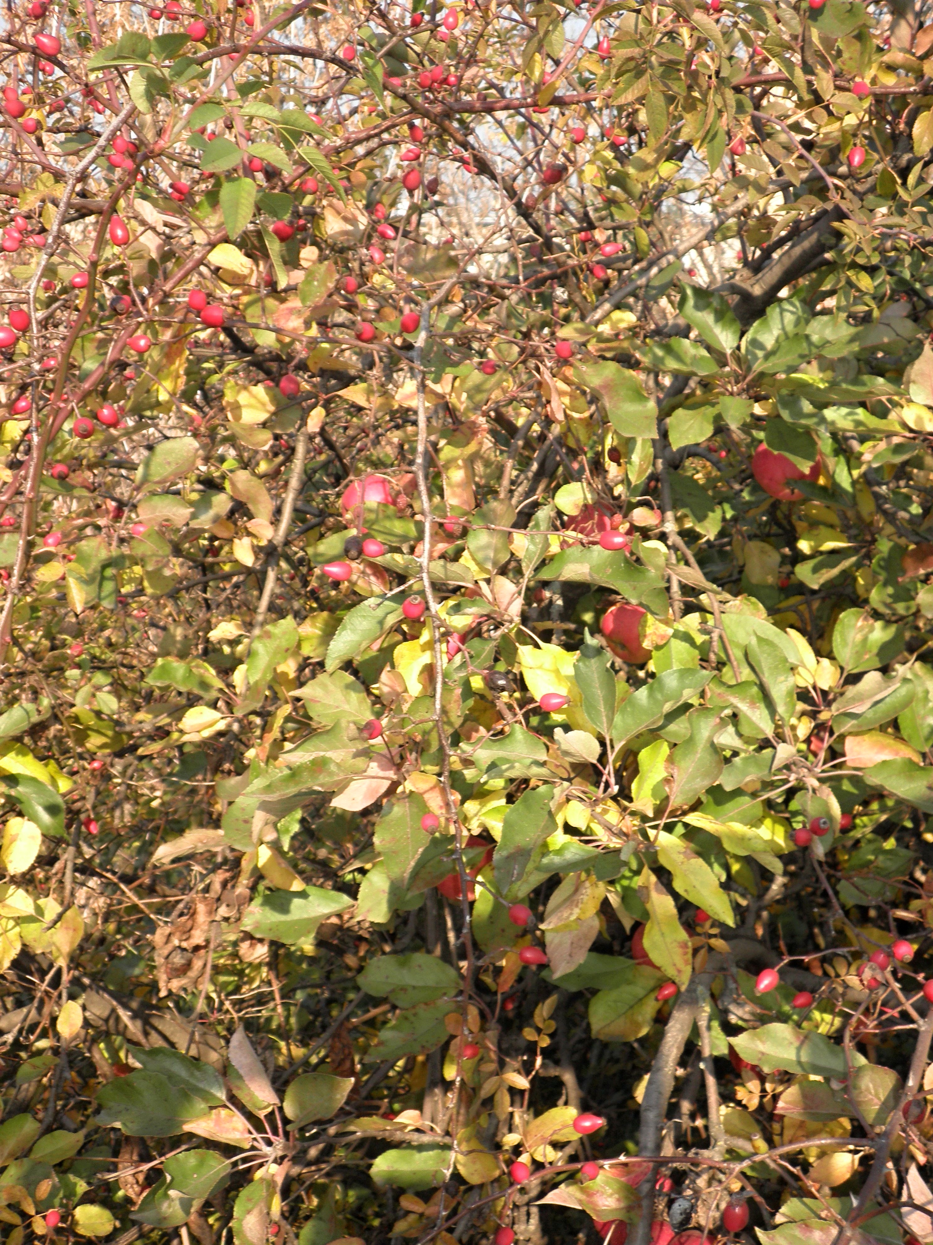 PB050095