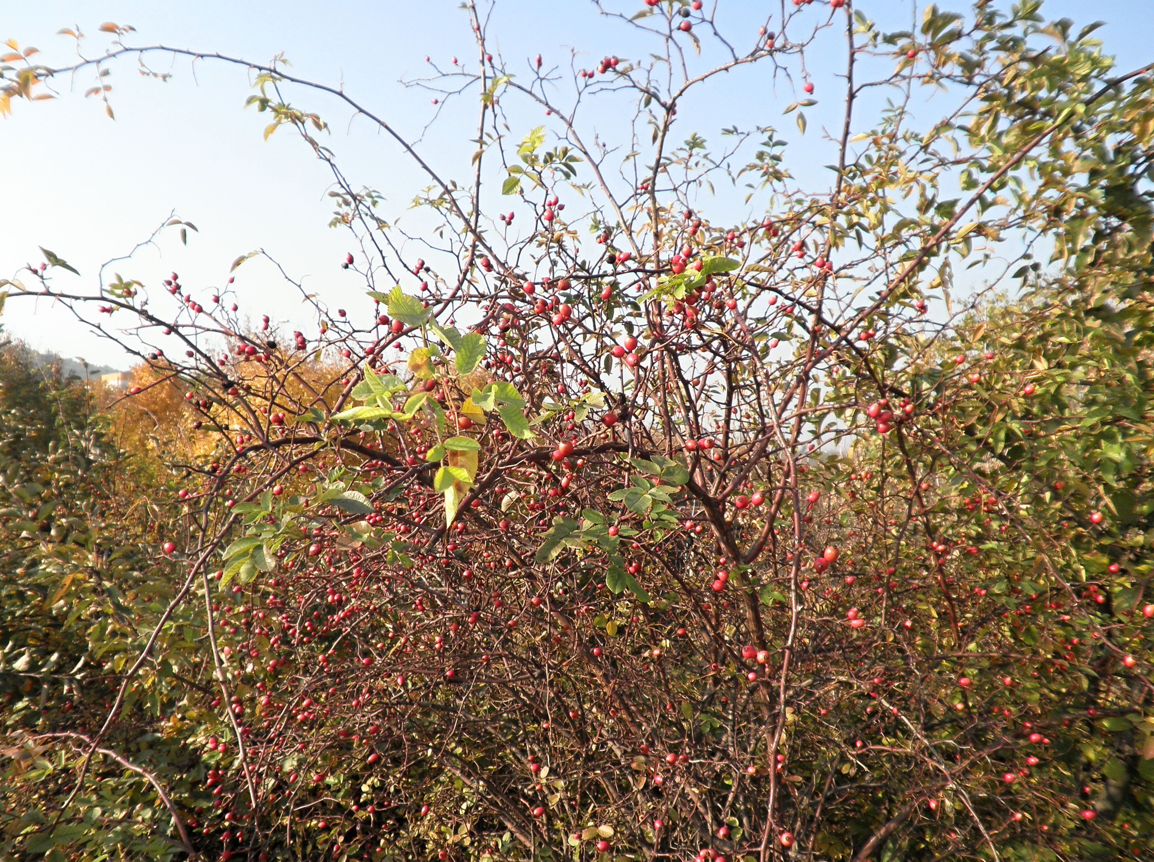 PB050102