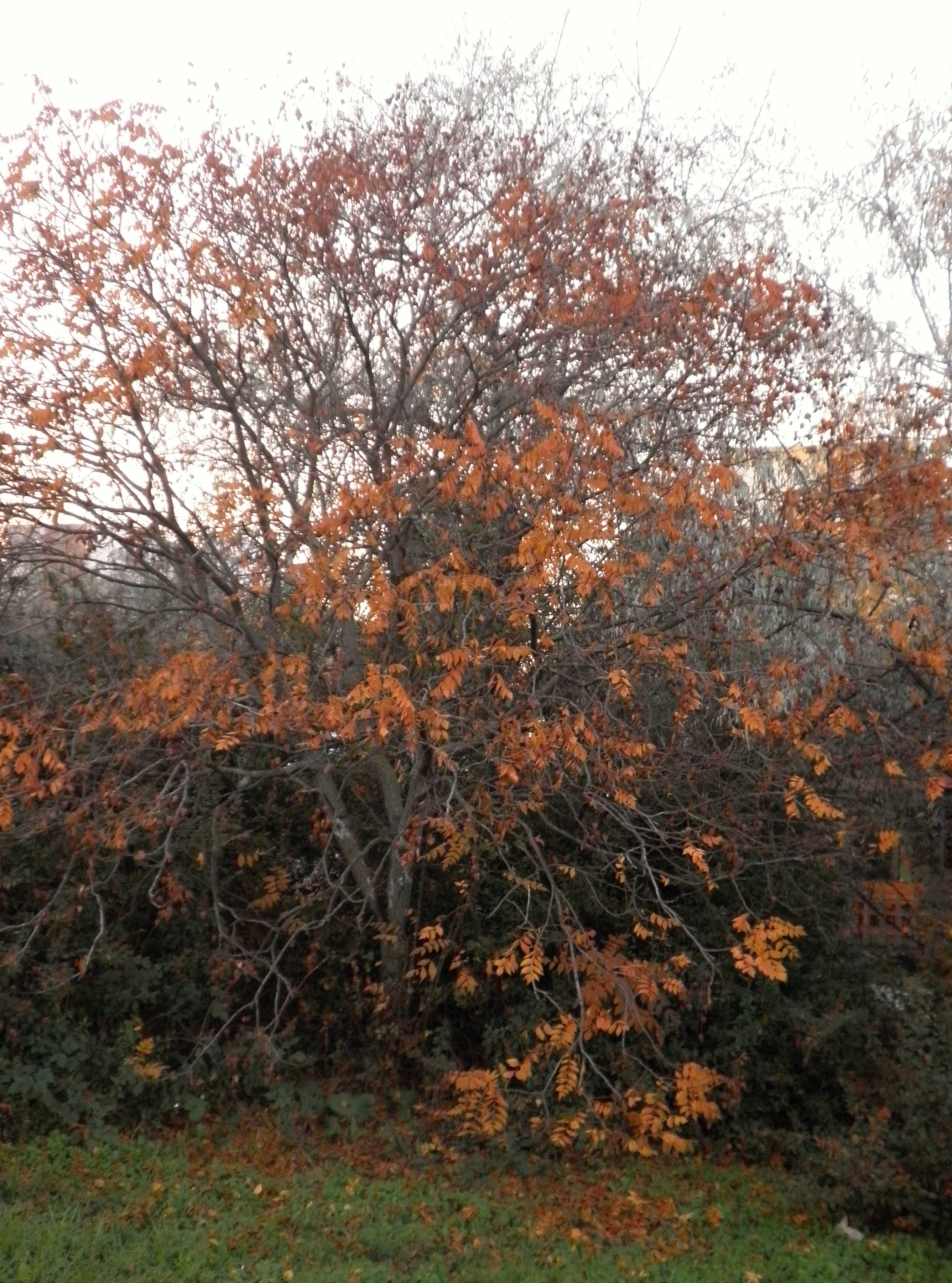 PB060021