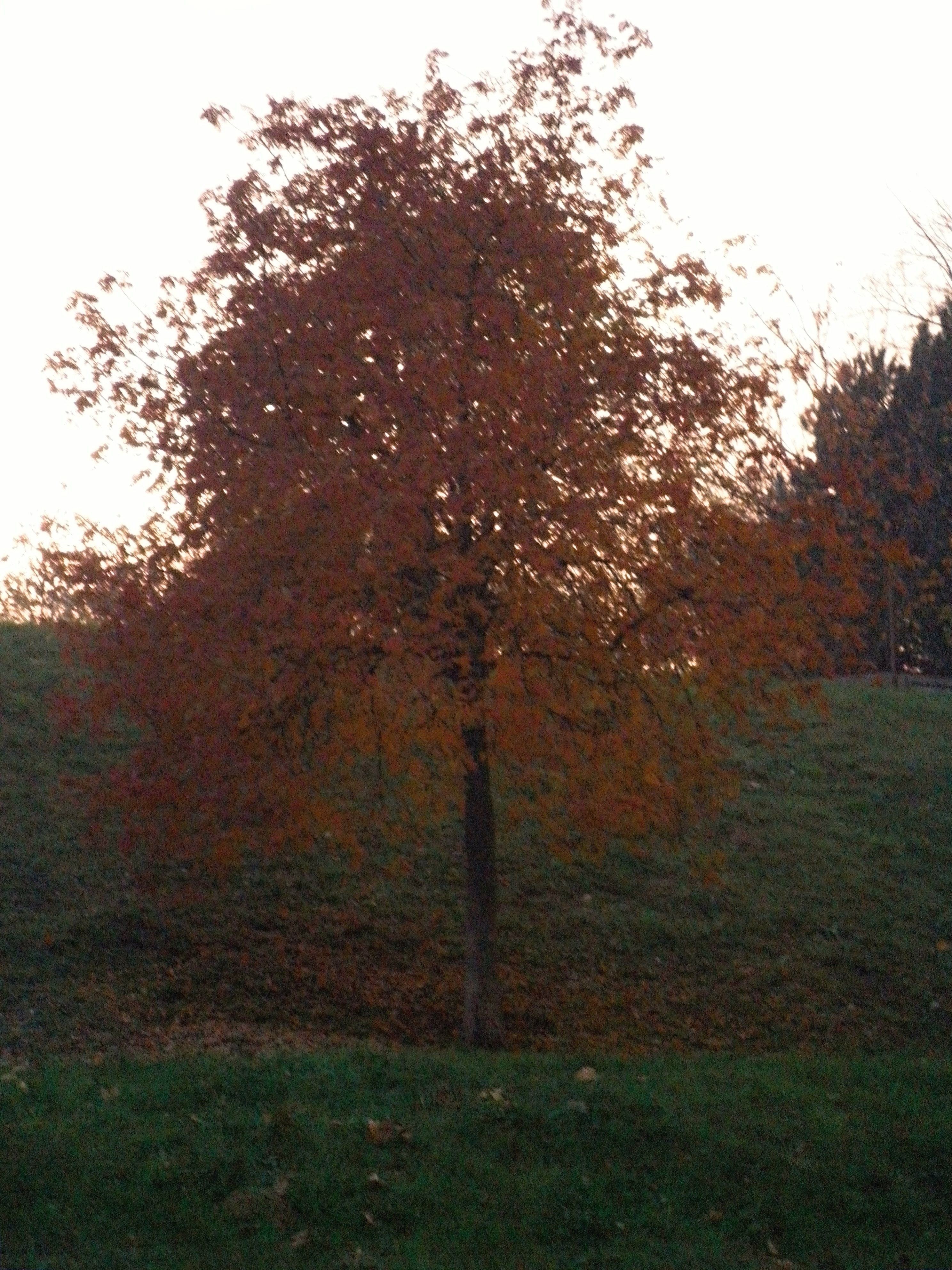 PB060033