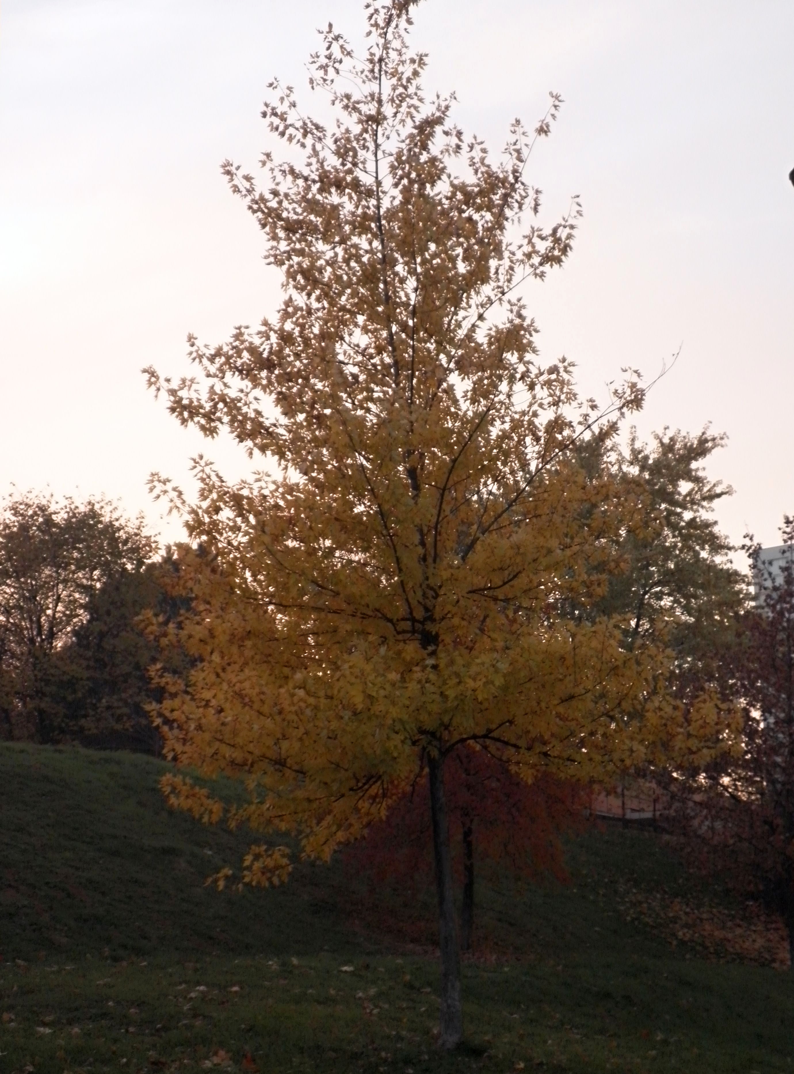 PB060034