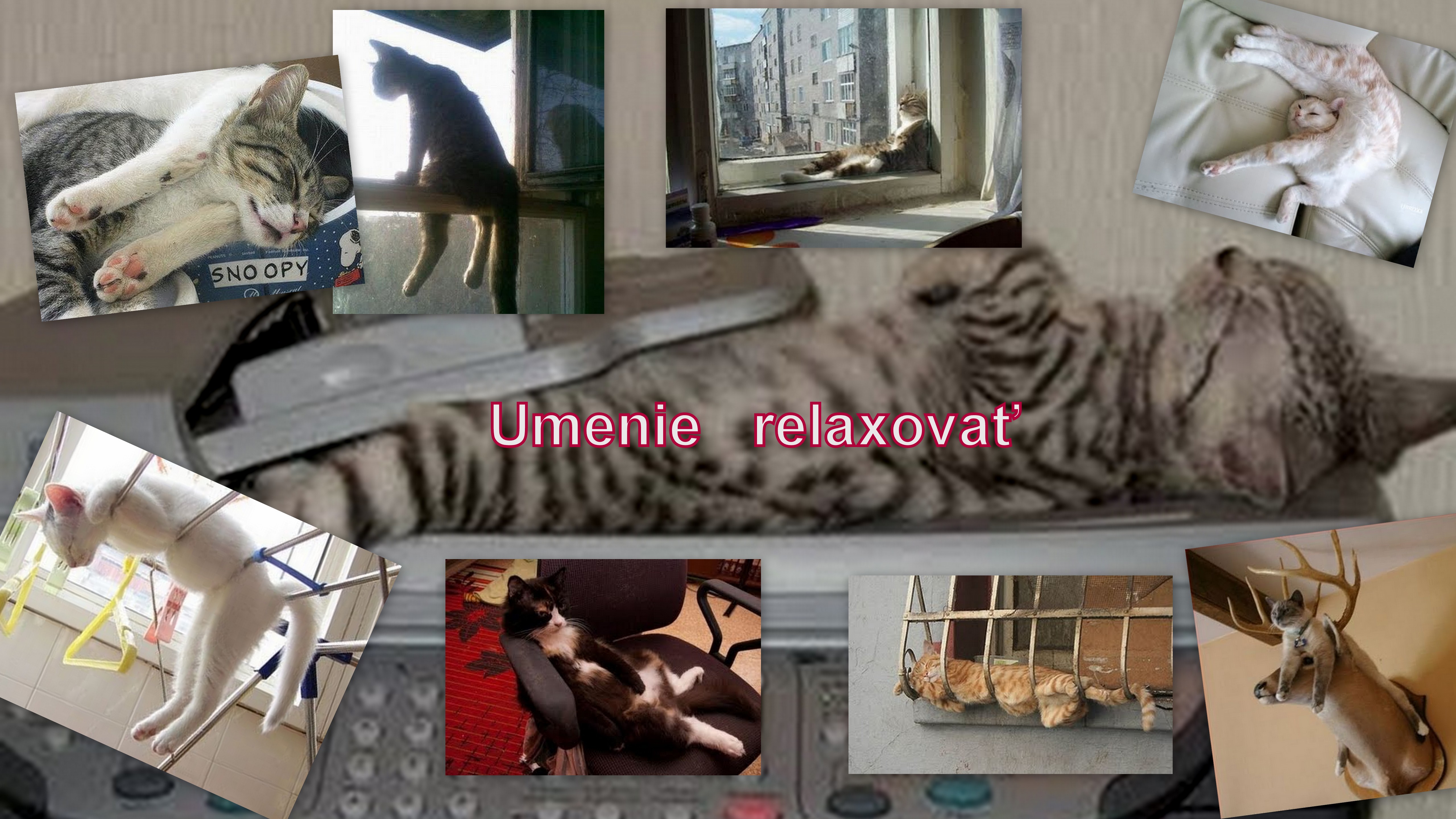 Relax - 1