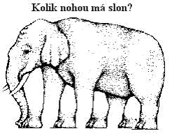 Klam_02