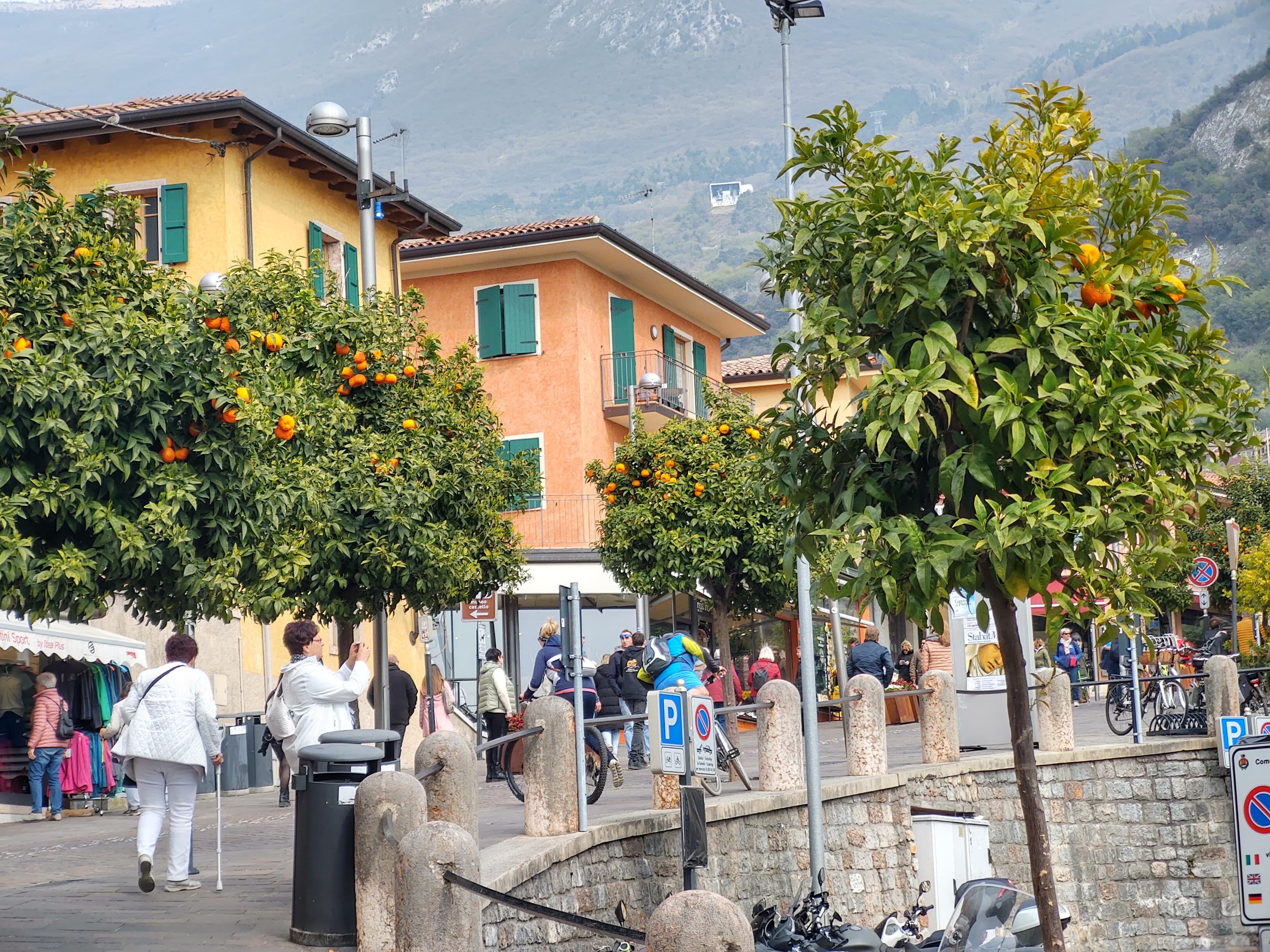 IMG_20230408_151120663_HDR