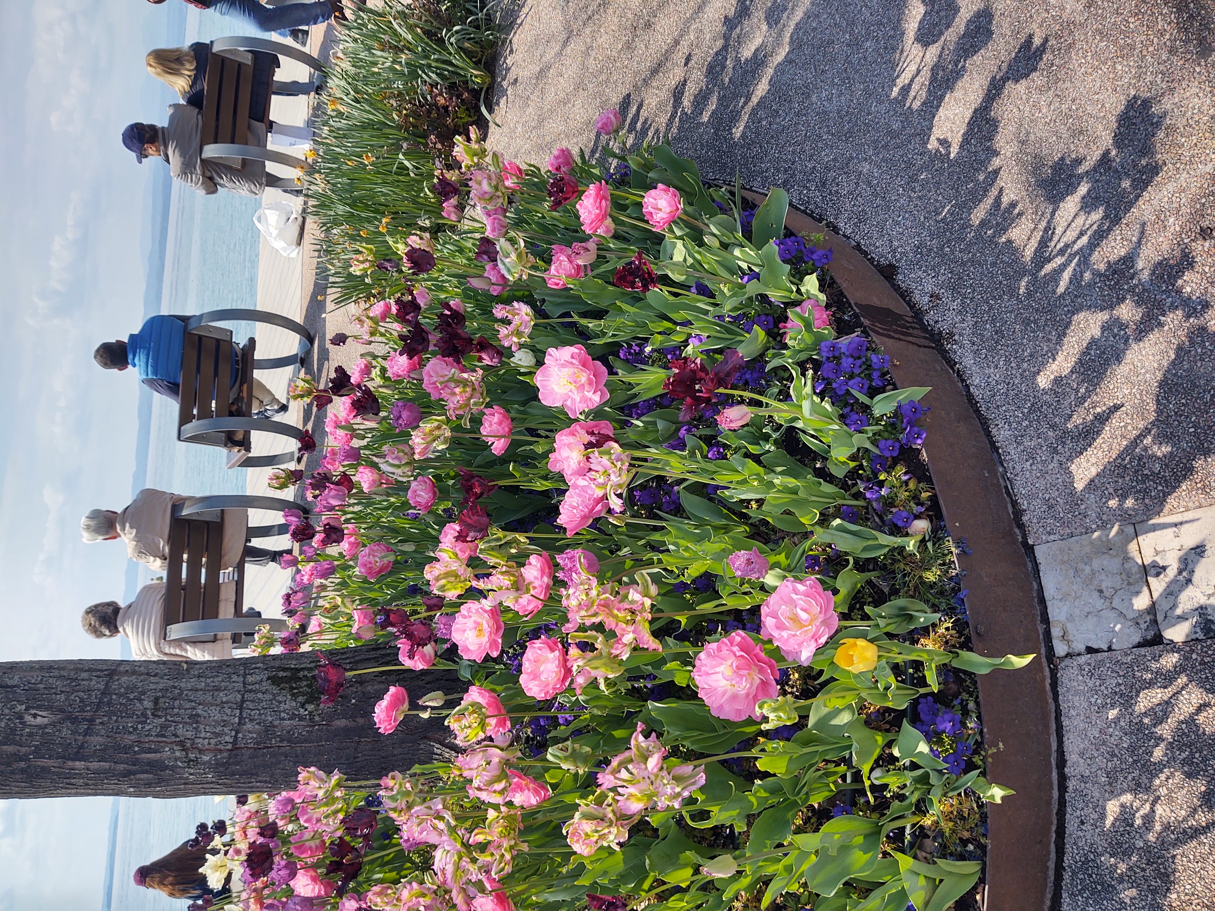 IMG_20230409_135720590_HDR