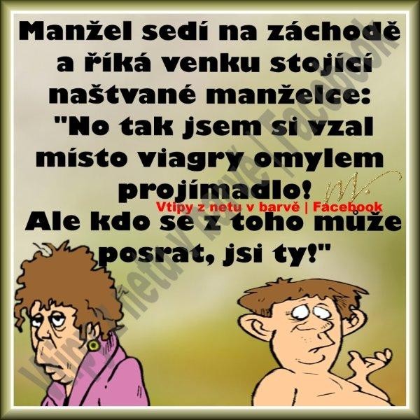 att00041.jpg