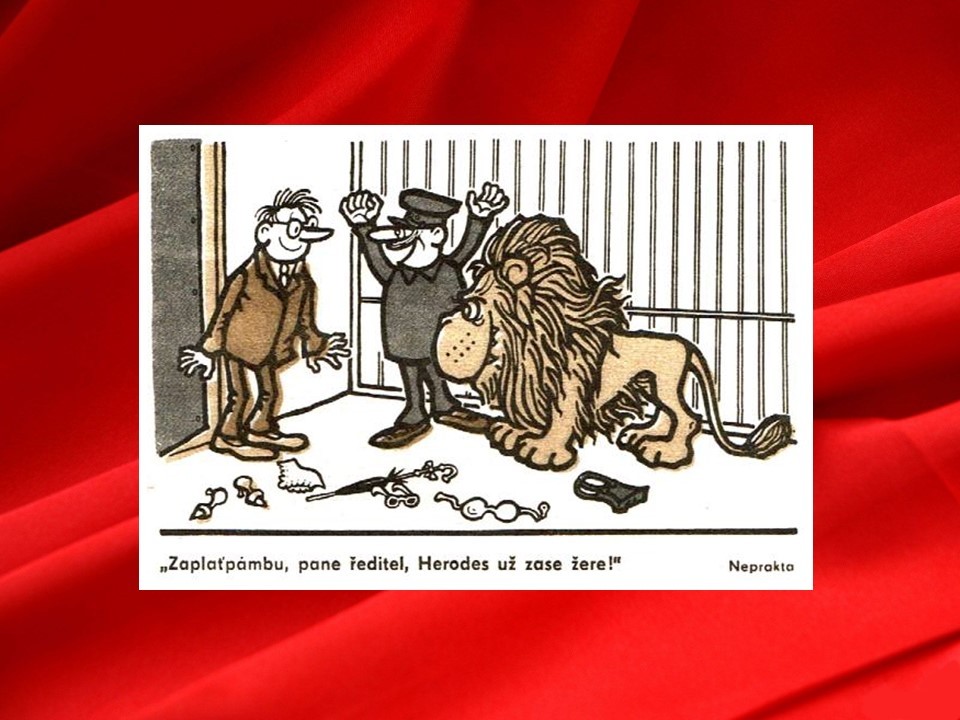 snimka3.jpg