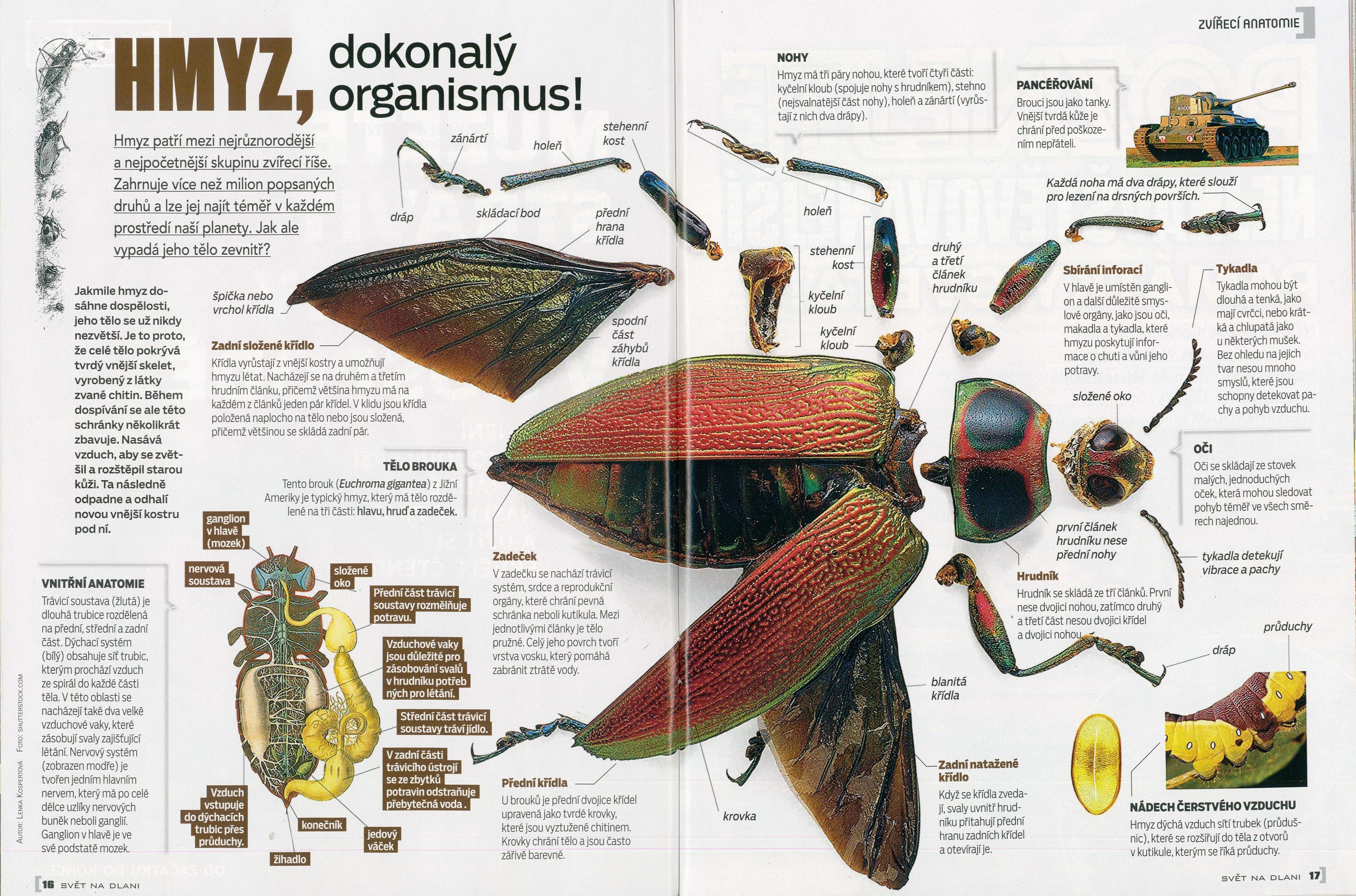 svetnadlani-001---u.jpg